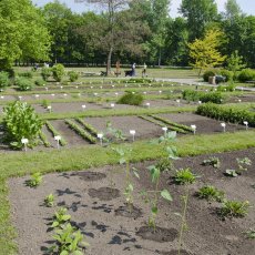 Bylinková zahrada Hradec Králové (Botanická zahrada léčivých rostlin FF UK Hradec Králové)