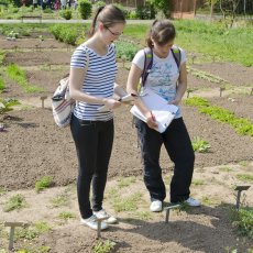 Bylinková zahrada Hradec Králové (Botanická zahrada léčivých rostlin FF UK Hradec Králové)