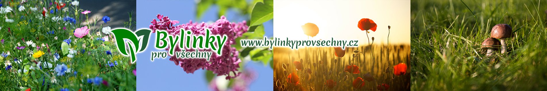 Bylinky pro všechny.