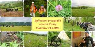 bylinko botanicka prochazka valkerice 2025