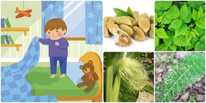 nocni pomocovani deti enureza byliny bylinky lecive bylinky